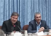 پیمانکاران و مشاوران بومی در اولویت حمایت قرار دارند