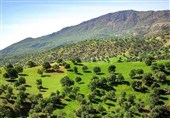 زاگرس ذخیره‌گاه ژنتیکی و کانون تنوع زیستی ایران است