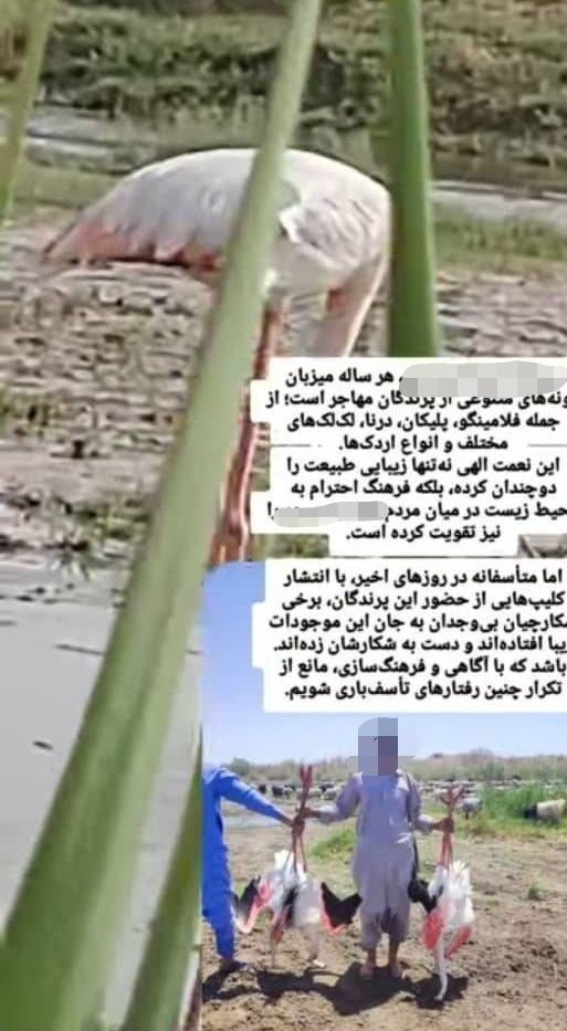 استان سیستان و بلوچستان , 