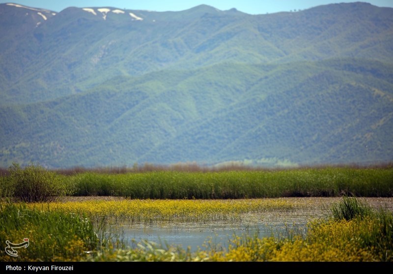 اخبار مریوان , اخبار استان کردستان , صنایع دستی ,