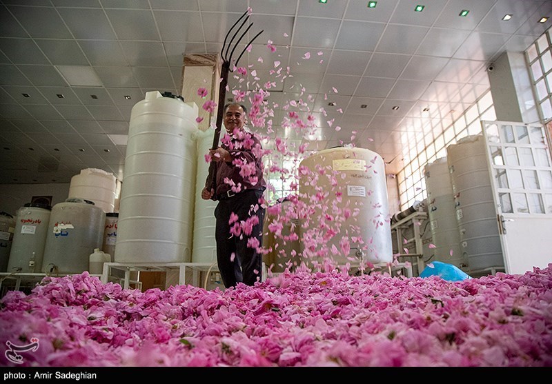 اخبار استان مازندران , اخبار ساری , 