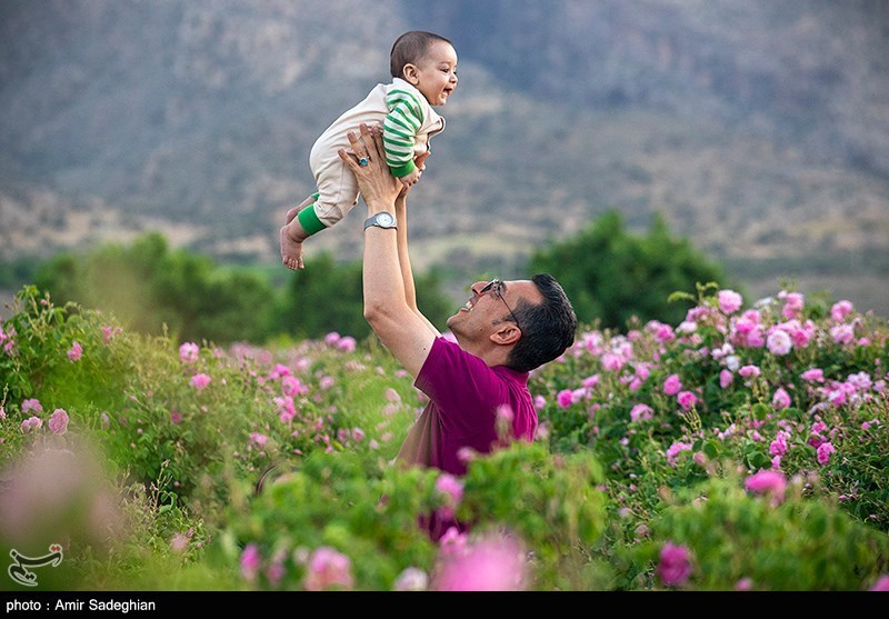 اخبار استان مازندران , اخبار ساری , 