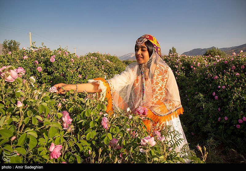 نظام مسائل استان سمنان , اخبار استان سمنان , کشاورزی ,