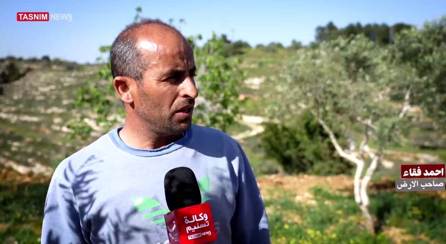 فلسطين المحتلة , 