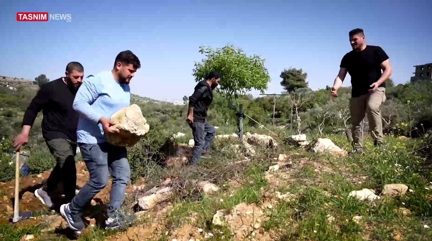 فلسطين المحتلة , 