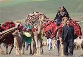 تعویق زمان کوچ عشایر شاهسون در اردبیل