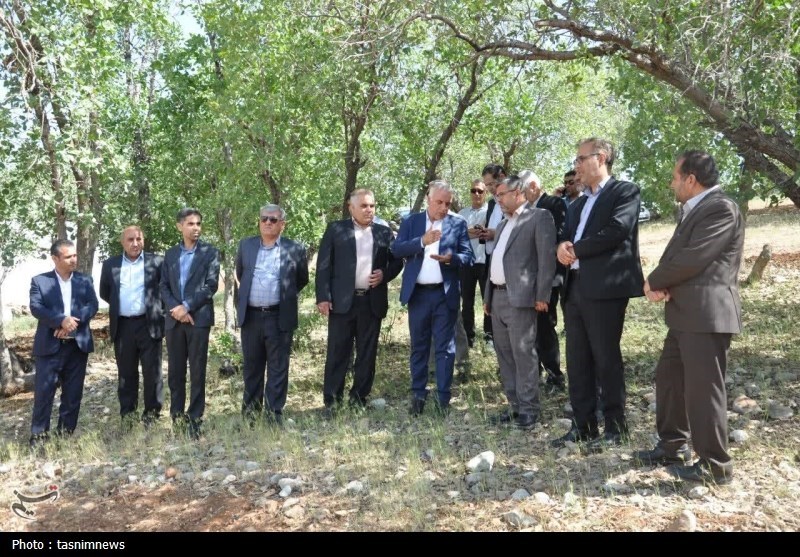 سازمان منابع طبیعی , قوه قضائیه , 