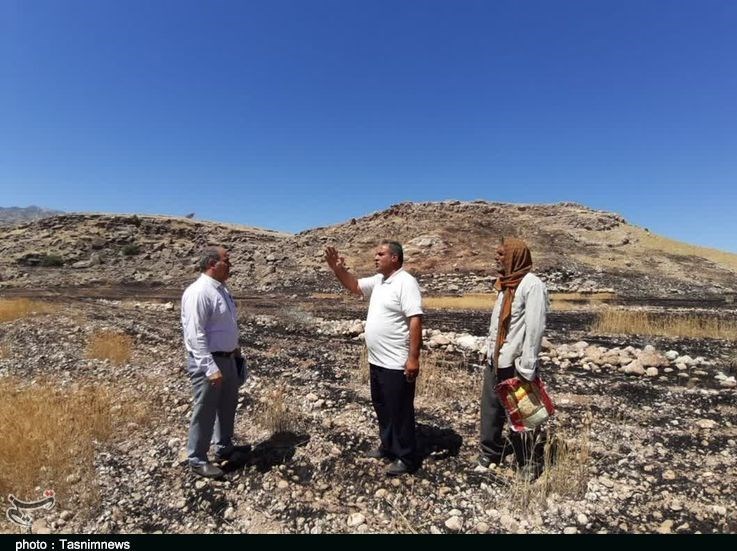 استان لرستان , پلدختر , آتش سوزی جنگل ها و مراتع , 