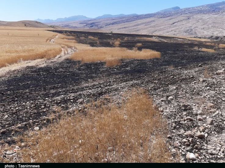 استان لرستان , پلدختر , آتش سوزی جنگل ها و مراتع , 