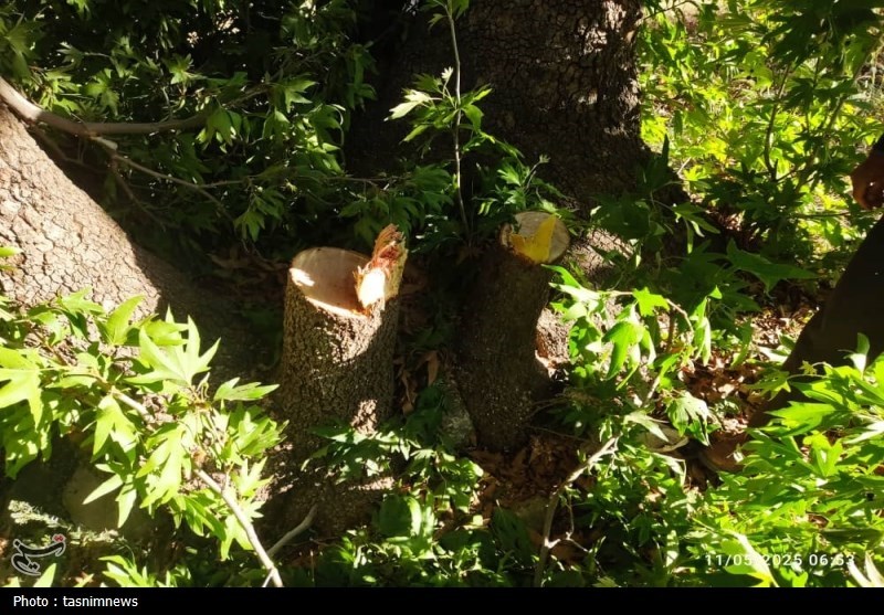 سازمان منابع طبیعی , 