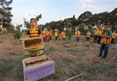 «زنبوربانان کوچک» پویشی برای آشنایی کودکان با محیط‌زیست