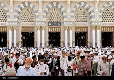 حجاج در مدینه تاریخ ایستادگی پیامبر(ص) را مرور می‌کنند