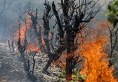 تبریز در فصل گرما؛ هشدار درباره گسترش آتش‌سوزی علف‌های هرز