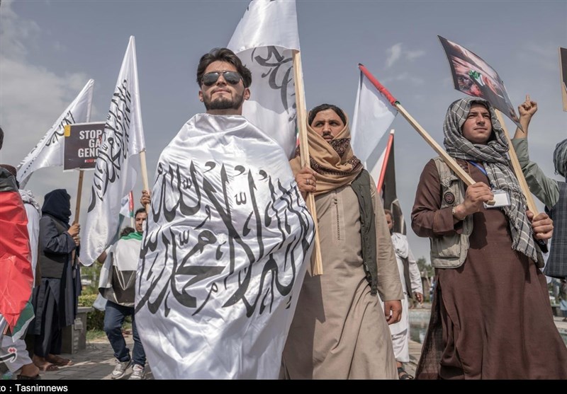 کشور افغانستان , طالبان , کشور فلسطین , نوار غزه , رژیم صهیونیستی (اسرائیل) , 