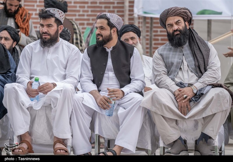 کشور افغانستان , طالبان , کشور فلسطین , نوار غزه , رژیم صهیونیستی (اسرائیل) , 