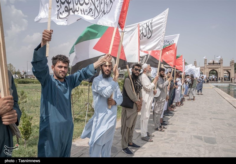 کشور افغانستان , طالبان , کشور فلسطین , نوار غزه , رژیم صهیونیستی (اسرائیل) , 