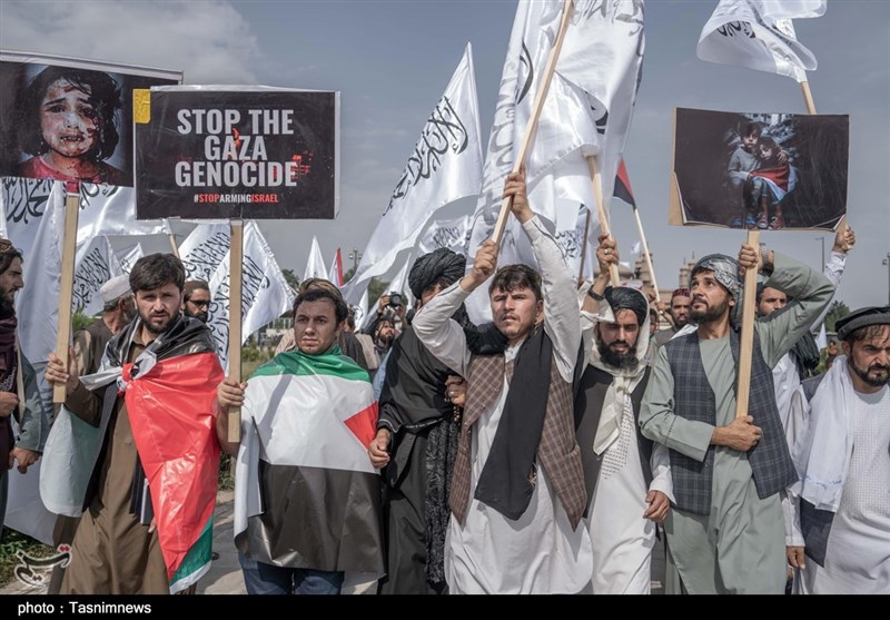 کشور افغانستان , طالبان , کشور فلسطین , نوار غزه , رژیم صهیونیستی (اسرائیل) , 