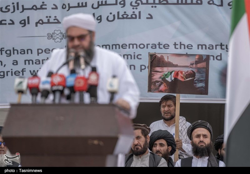 کشور افغانستان , طالبان , کشور فلسطین , نوار غزه , رژیم صهیونیستی (اسرائیل) , 