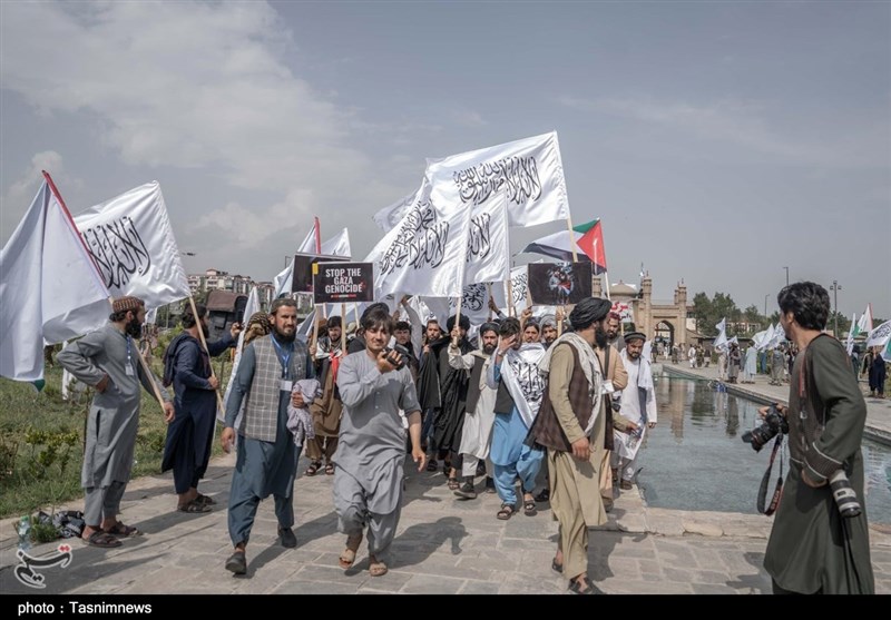 کشور افغانستان , طالبان , کشور فلسطین , نوار غزه , رژیم صهیونیستی (اسرائیل) , 