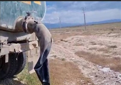 ضرب‌الاجل یک هفته‌ای برای رفع معضل پساب در جویبار