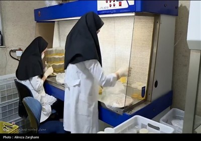 امکان دورکاری برای کارکنان وظیفه مأمور در شرکت‌های دانش‌بنیان