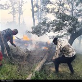 دستور قالیباف برای بررسی علت آتش‌سوزی جنگل الیت/ برنامه ‌صیانت باید تدوین شود