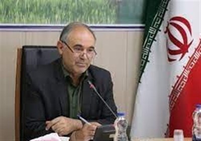 رعایت اصول صحیح پخت نان توسط 150 واحد نانوایی در اردبیل