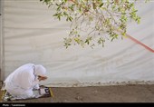 عرفه؛ روزی برای بازخوانی انسان در آینه تمدن