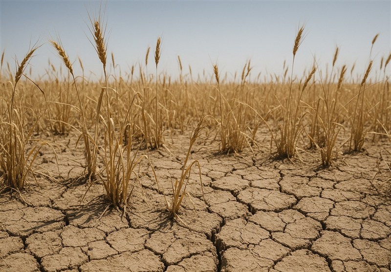 نظام مسائل استان اصفهان , 