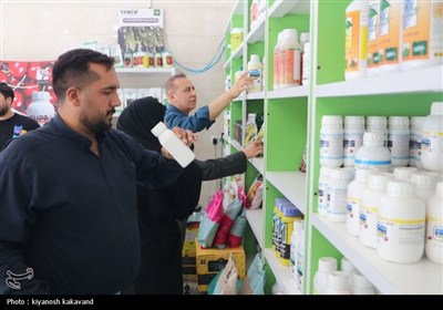 برخورد با تخلفات گران‎فروشی در زنجیره توزیع دارو و شیرخشک