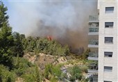 آتش سوزی گسترده در اطراف قدس، پیشروی آتش به سوی مناطق مسکونی