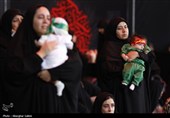 لالایی‌هایی که تا کربلا امتداد یافت؛گزارش اجتماع شیرخوارگان حسینی+فیلم