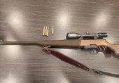 کشف 8 قبضه سلاح جنگی و شکاری در گرگان