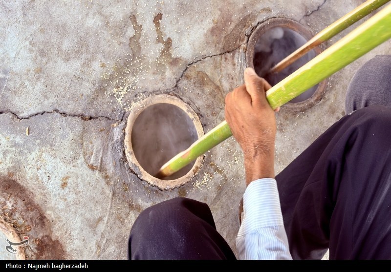 موکب تسنیم , 