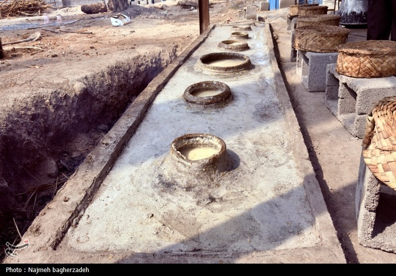 موکب تسنیم , 