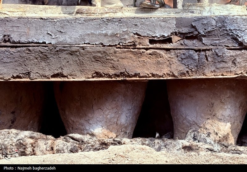 موکب تسنیم , 