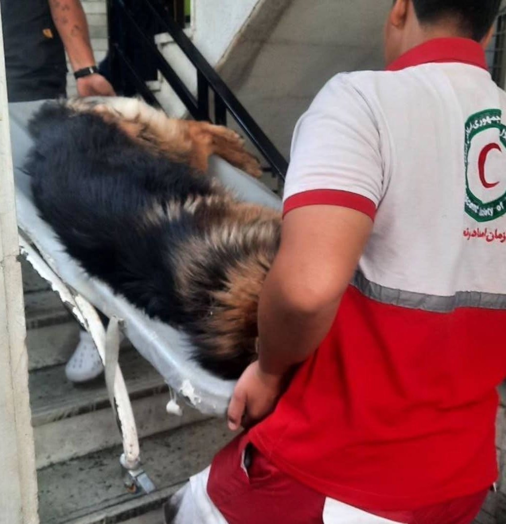 جمعیت هلال احمر , سازمان محیط زیست , 