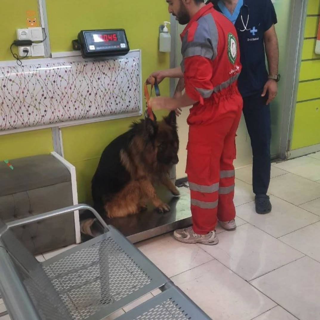 جمعیت هلال احمر , سازمان محیط زیست , 