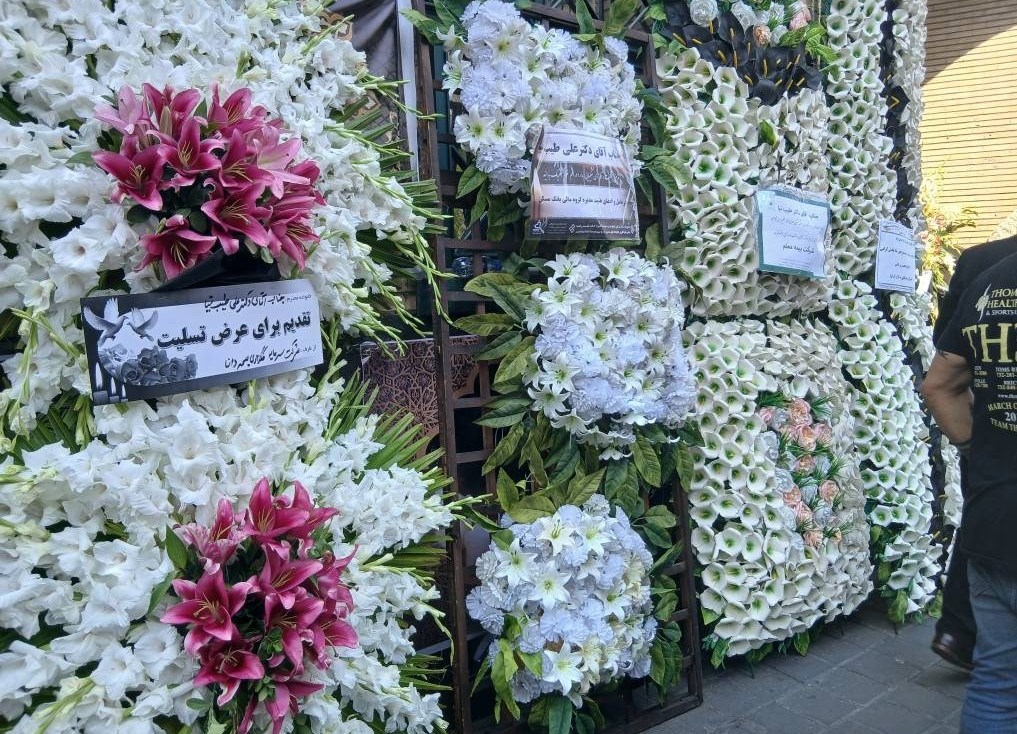 علی طیب‌ نیا , دانشگاه تهران , مسعود پزشکیان | پزشکیان , 