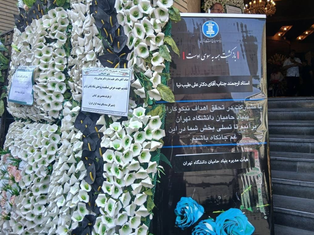 علی طیب‌ نیا , دانشگاه تهران , مسعود پزشکیان | پزشکیان , 