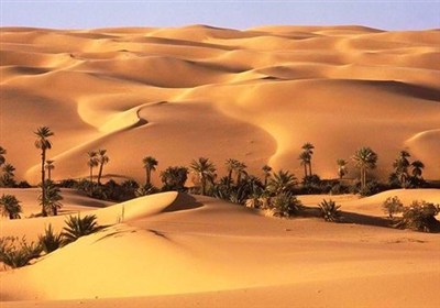 «نجات آب» ــ 69| حمایت از زنجیره ارزش پایدار محصولات در مناطق خشک