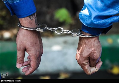 کشف سرقت‌ها تا توقیف چوب قاچاق؛ پلیس خراسان جنوبی در چند جبهه فعال شد