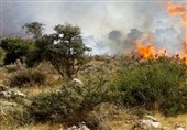 شکارچیان غیرمجاز عامل احتمالی آتش سوزی الیت هستند