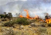 حریق دوباره در جنگل‌های کارمزد سوادکوه/ در حال حاضر حریق مهار شده است