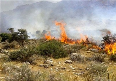 آتش‌سوزی در منطقه حفاظت‌شده دیل مهار شد