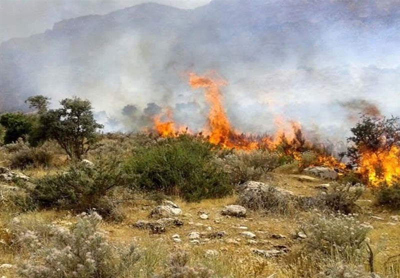 اخبار استان گلستان , جنگل های هیرکانی , نظام مسائل استان گلستان , 