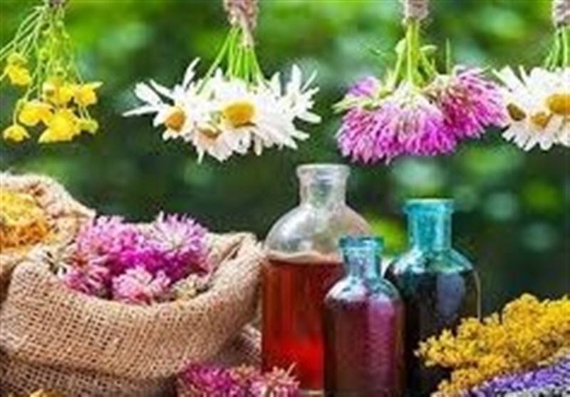 ستاد توسعه اقتصاد دانش‌بنیان گیاهان دارویی و طب سنتی , دارو , 