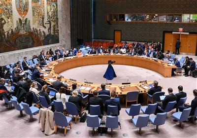 سیرک آمریکا در شورای امنیت با حضور مسیح علی‌نژاد و احمد باطبی