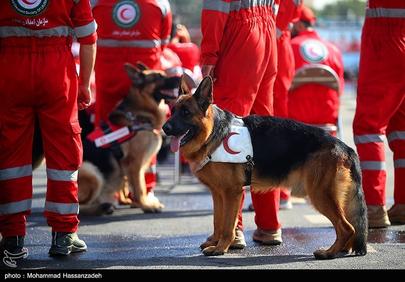 اعزام کادر درمان و آماده‌سازی درمانگاه هلال احمر کرمان در نجف اشرف