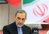 UK behind Anti-Iran Moves at Manama Conference: Velayati